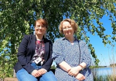 Project Team in Finland — on the on-line training course