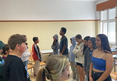 Emotional Intelligence in Focus during Citizenship Classes