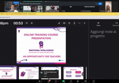 Emotional Intelligenge Approach: OTC official presentation